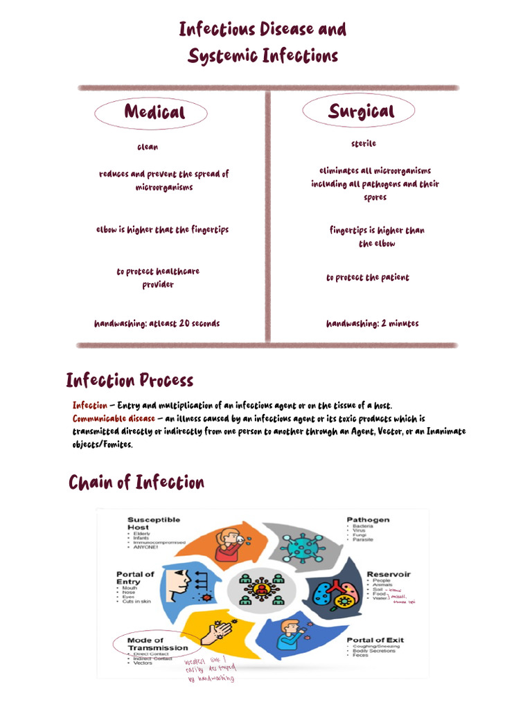 Infection Control and Prevention Guide | PDF | Infection | Rabies