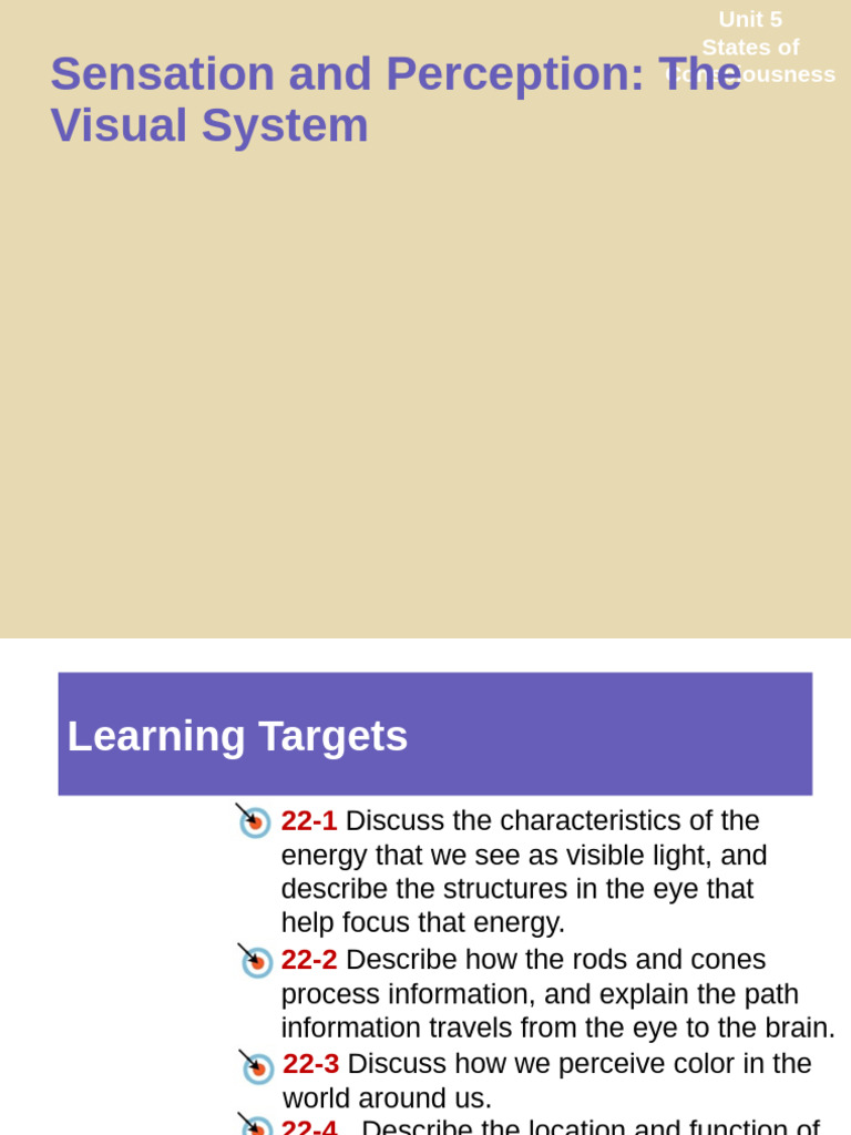 The Visual System PowerPoint | PDF | Retina | Color
