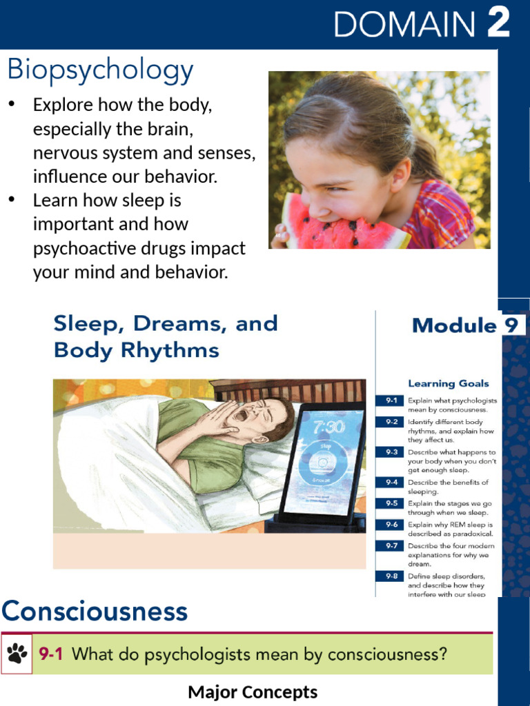 Impact of Sleep on Behavior and Health | PDF | Sleep | Rapid Eye ...