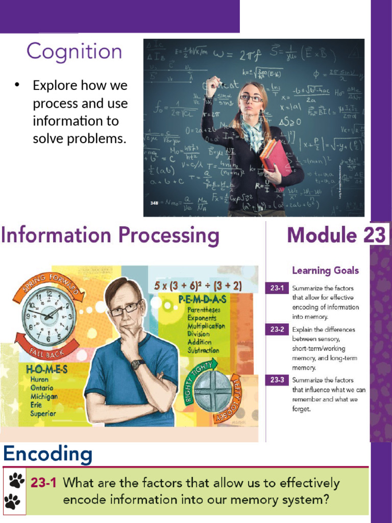 Memory Part 1 Powerpoint | PDF | Memory | Recall (Memory)