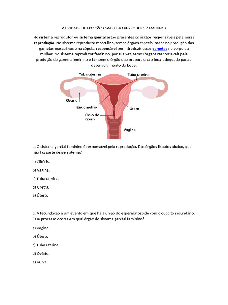 Sistema Reprodutor Feminino: Questões e Funções | PDF