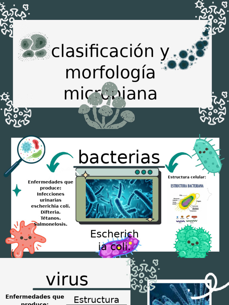 Clasificación de Microorganismos y Enfermedades | PDF