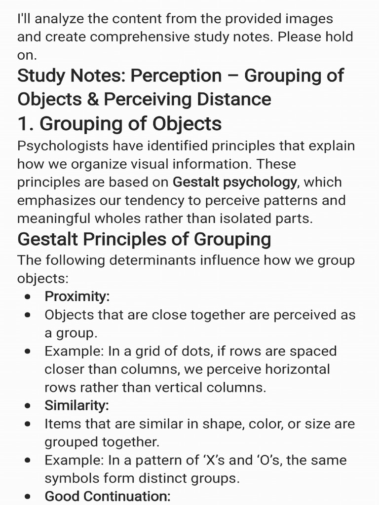 Perception Notes 4 - 250308 - 160615 | PDF