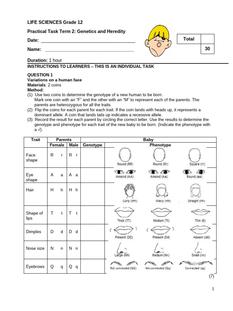 Grade 12 Genetics Practical Task 2 | PDF | Genotype | Dominance (Genetics)