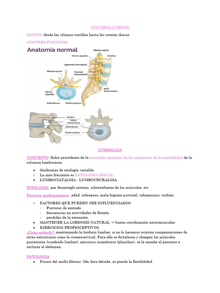 Dolencias y Tratamientos de la Columna Lumbar | PDF | Dolor lumbar | La ...