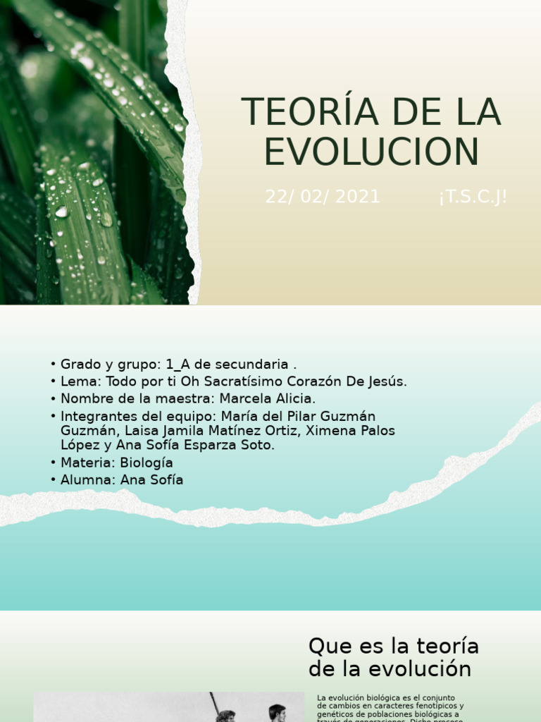 Teoría de la Evolución y Fósiles | PDF | Evolución | Fósil