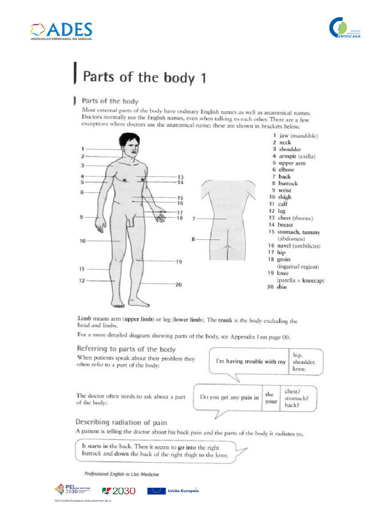 Parts of The Body | PDF