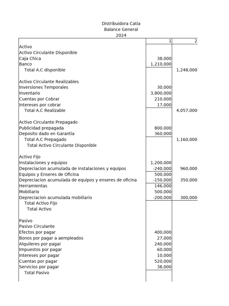 Balance General 2024 Distribuidora Catia | PDF | Hoja de balance ...