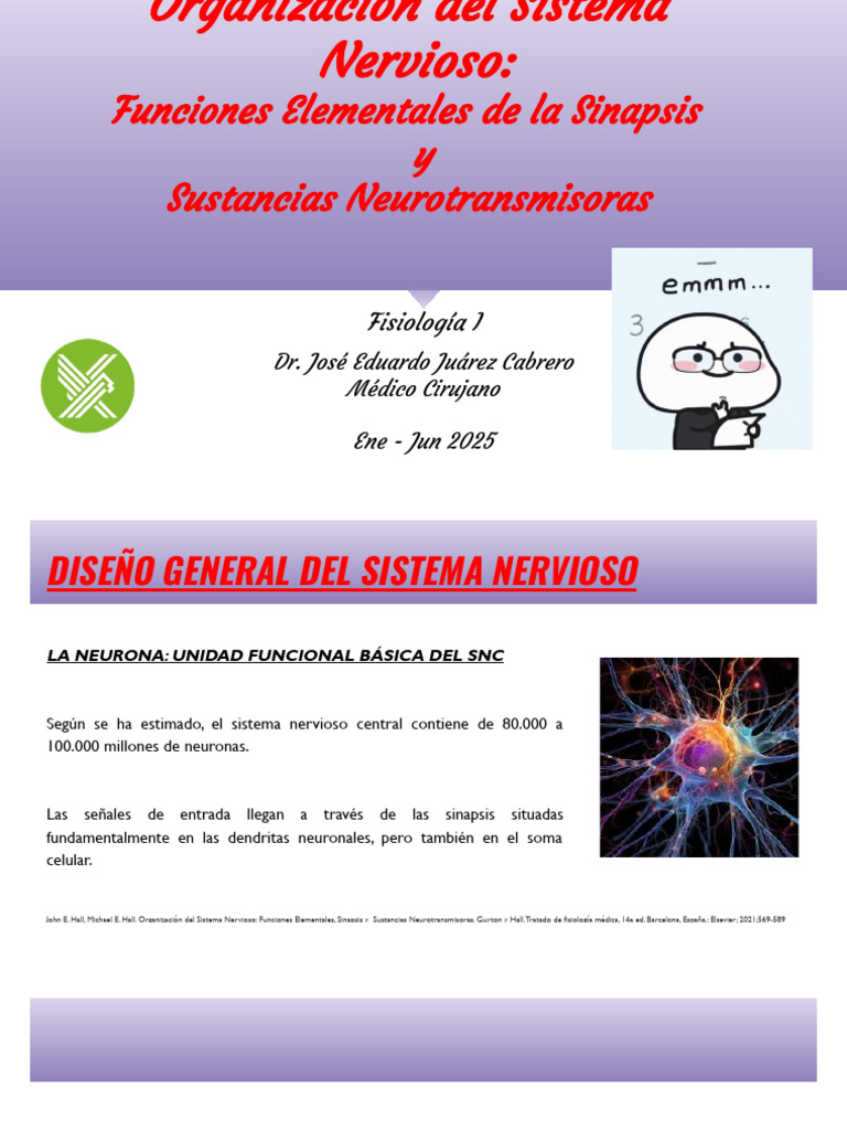 Funciones del Sistema Nervioso y Sinapsis | PDF | Sinapsis | Sistema ...
