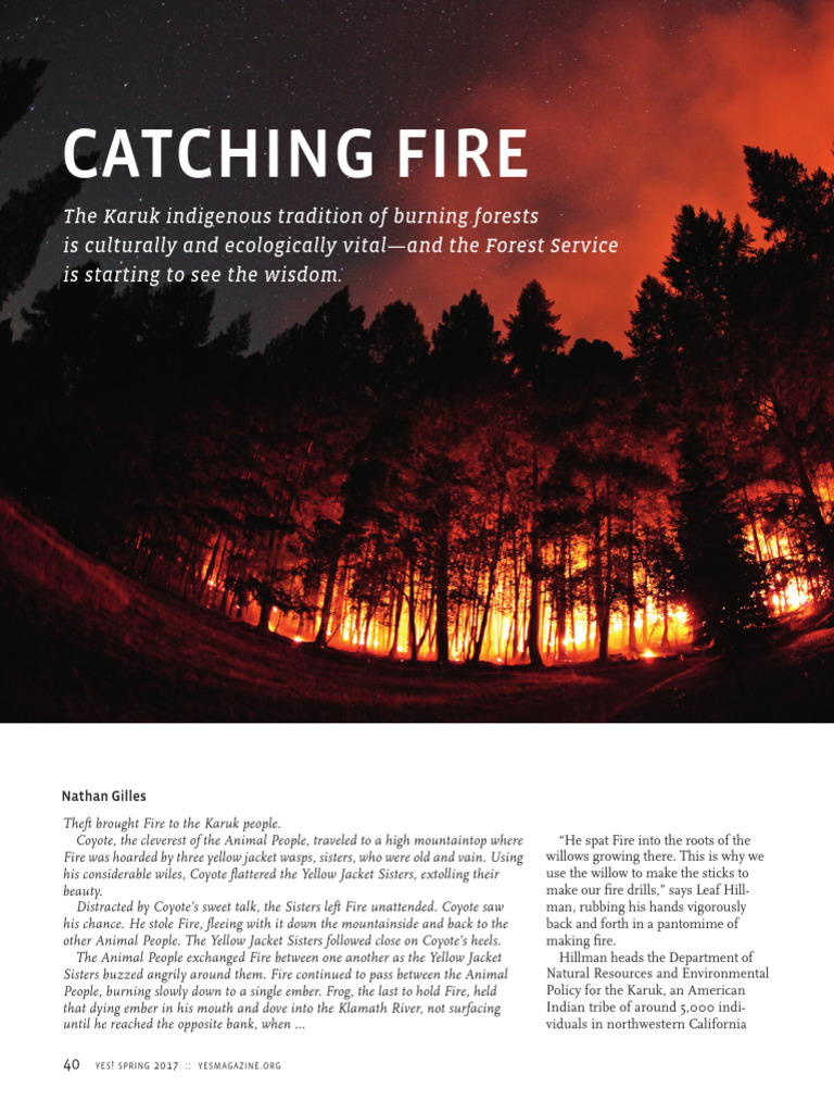 Catching Fire | PDF | Wildfire | Native Americans In The United States