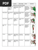 Upper Limb Joints Anatomy Overview | PDF | Elbow | Anatomical Terms Of ...