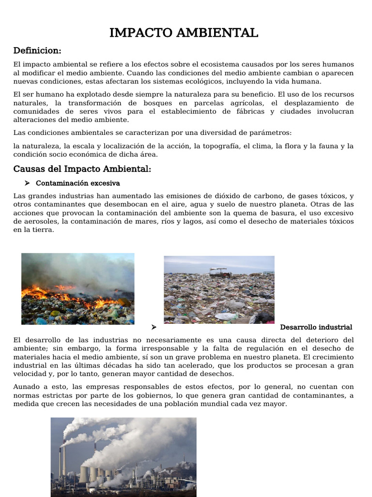 Impacto Ambiental | PDF | Evaluación de impacto ambiental | Entorno natural