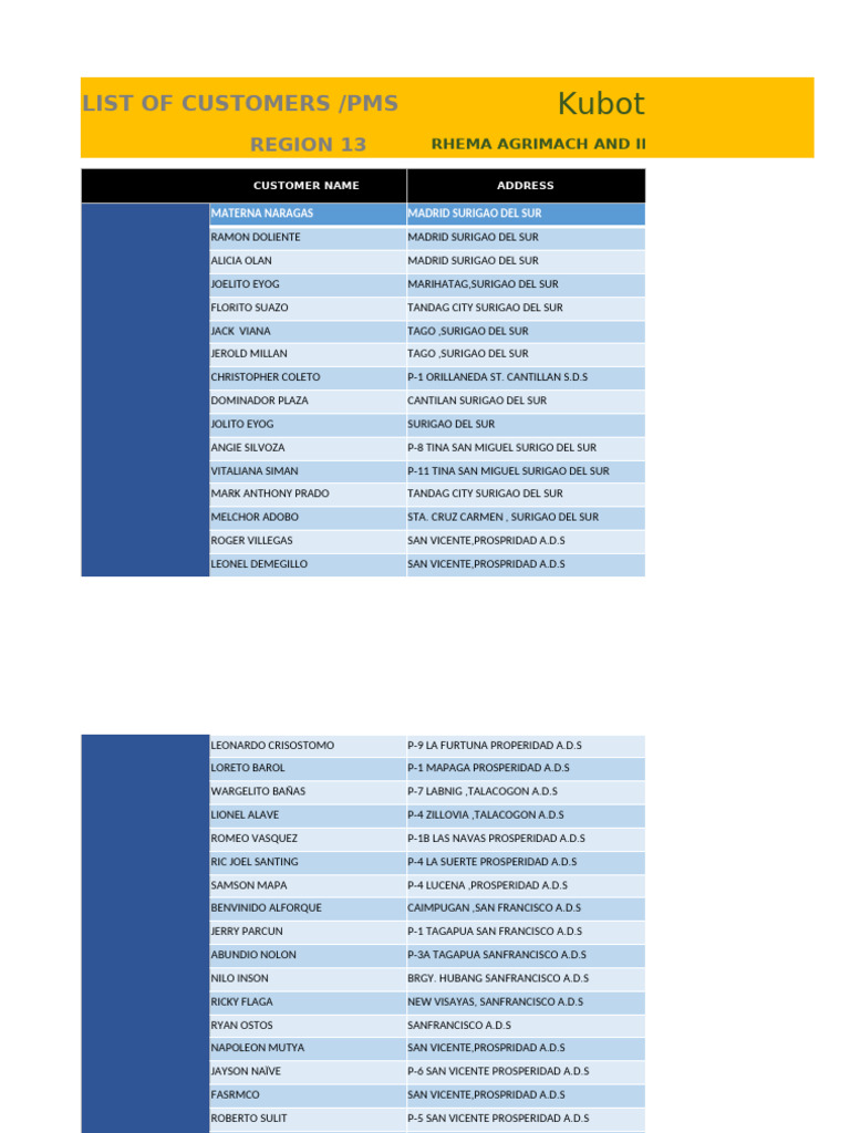 Lista de Clientes y Estado de PMS | PDF