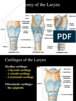 Anatomy of The Larynx: Thyrohyoid Membrane