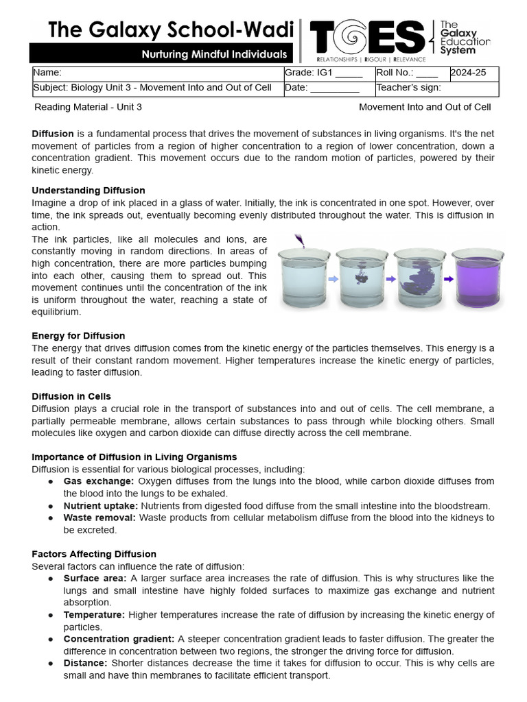 Diffusion of Gases in Cells | PDF | Biology
