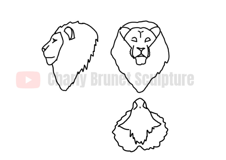 Lion Pattern | PDF