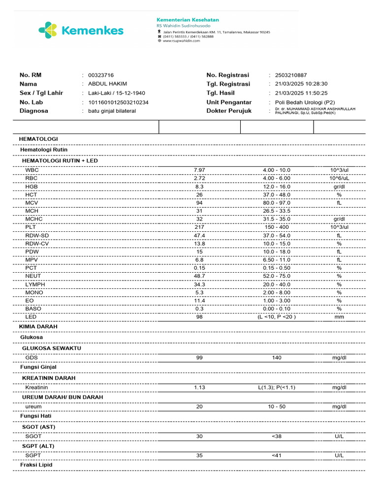 Hasil Lab Pasien Batu Ginjal Bilateral | PDF