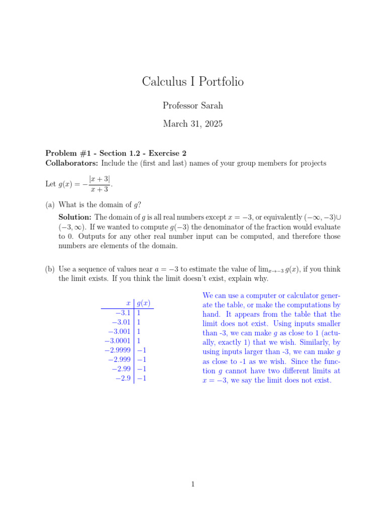 MATH 141 Adelphi University Portfolio Problem Template Example | PDF ...
