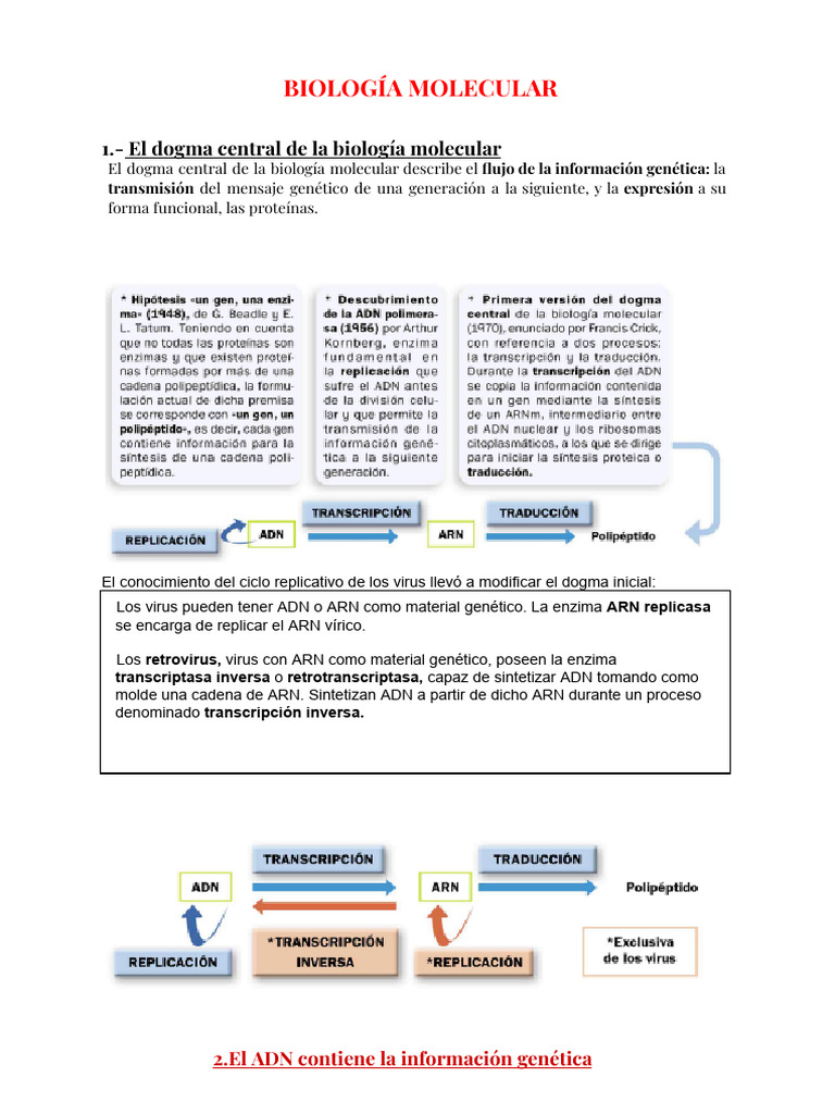 Dogma Central de la Biología Molecular | PDF | Codigo genetico ...