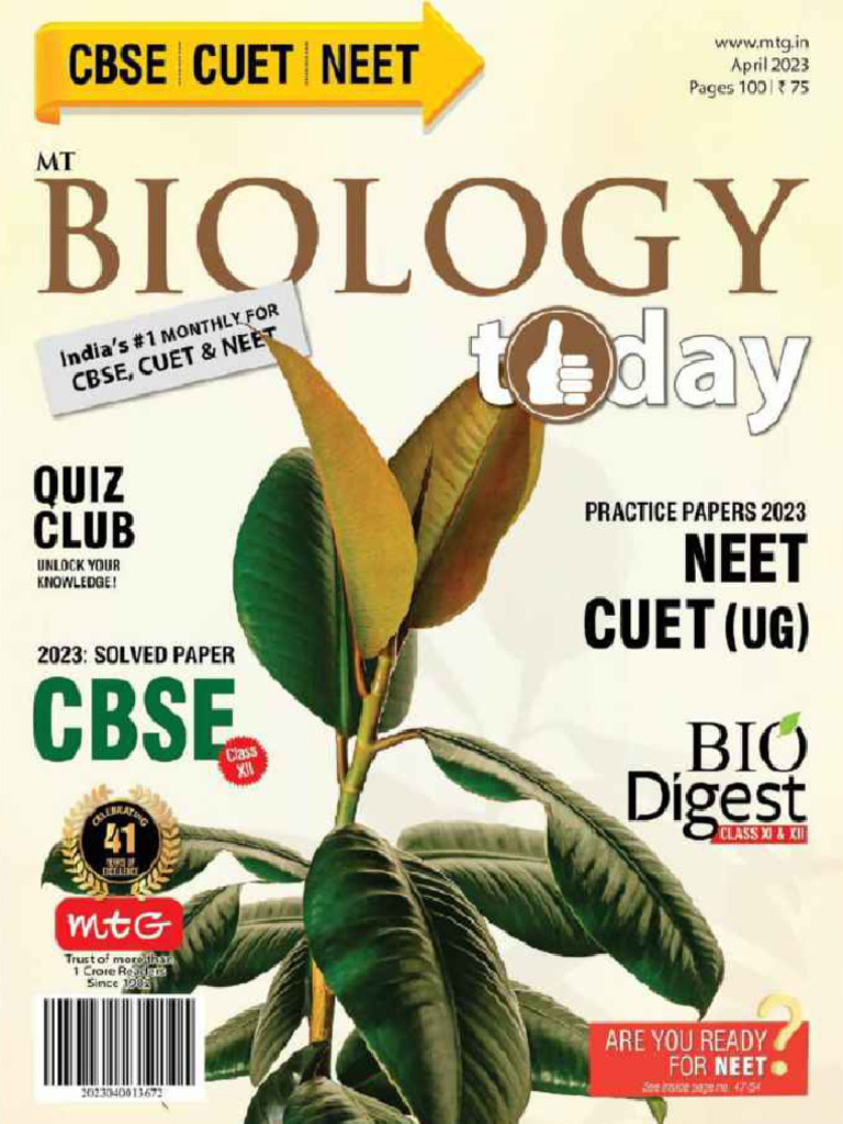 Magazine King Overview | PDF