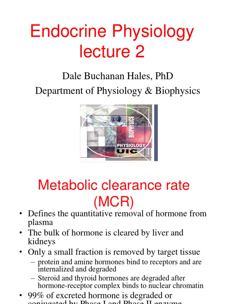 Endocrine System Lecture Pdf Hormone Hypothalamus