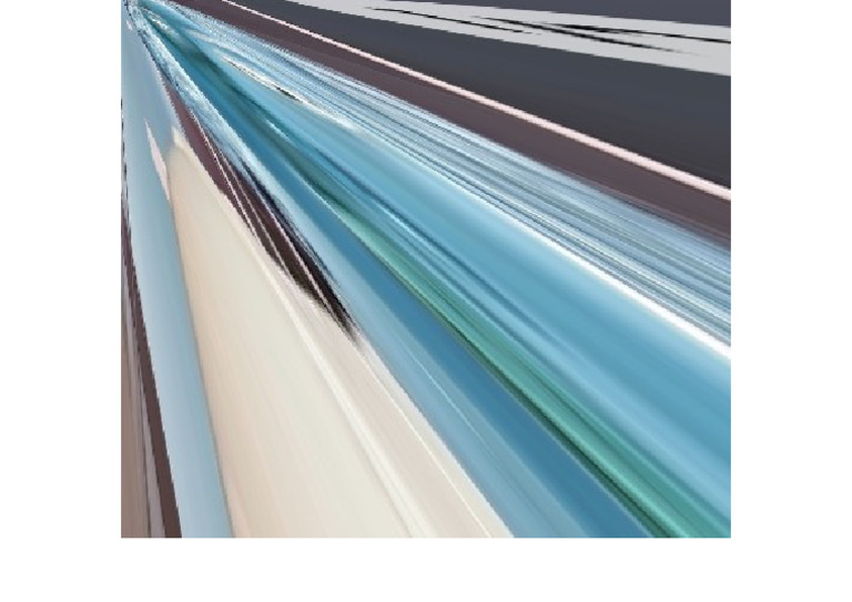 ACE Scanner Document Overview | PDF