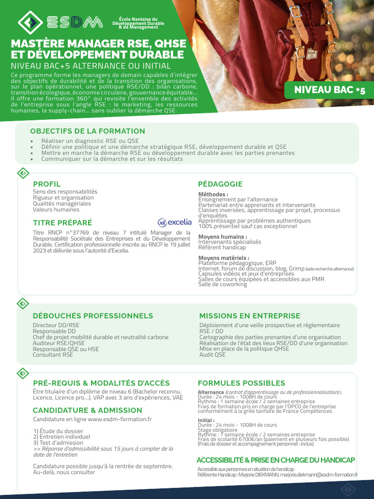 Master Manager RSE et Développement Durable | PDF | Responsabilité ...