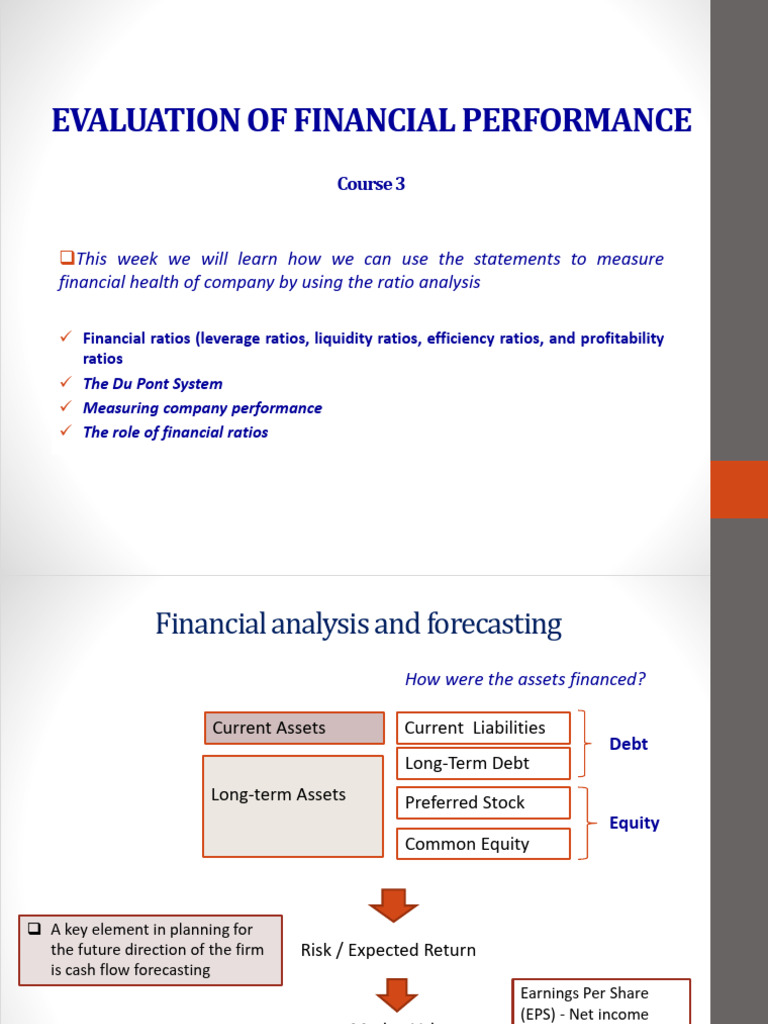 Financial Performance Evaluation Guide | PDF | Equity (Finance ...