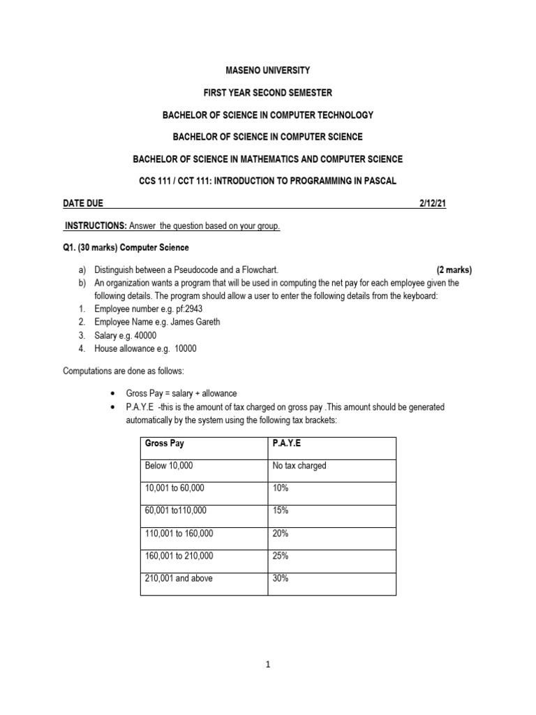 CCT 111 Programming Assignment Guide | PDF | Interest | Loans