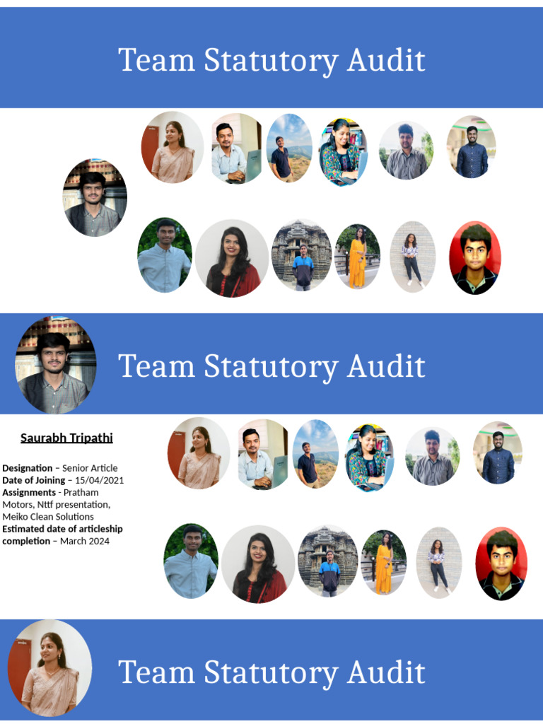 Team Statutory Audit Overview | PDF