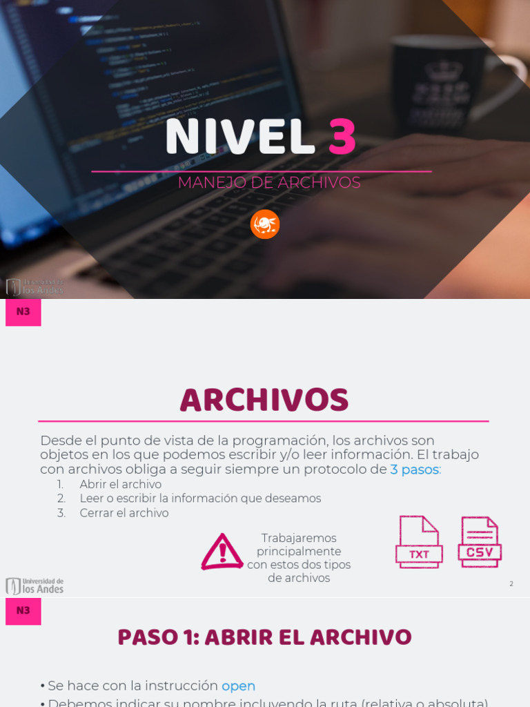 Manejo de Archivos en Programación | PDF | Archivo de computadora ...