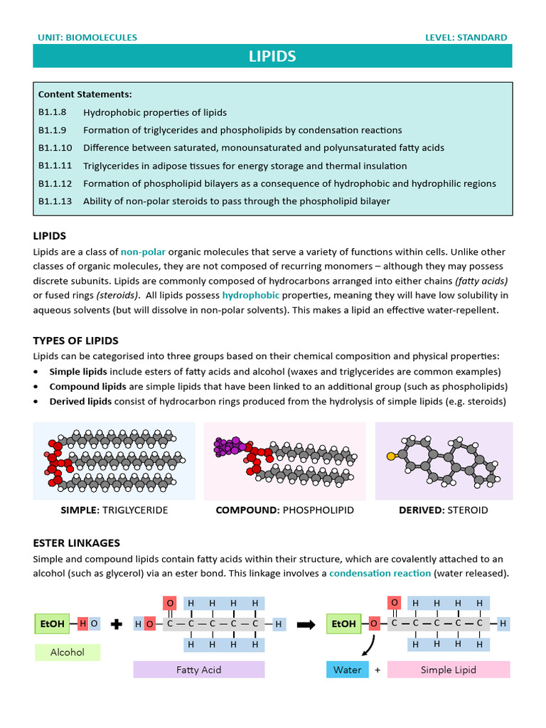 1.5 Lipids | PDF | Lipid | Fat