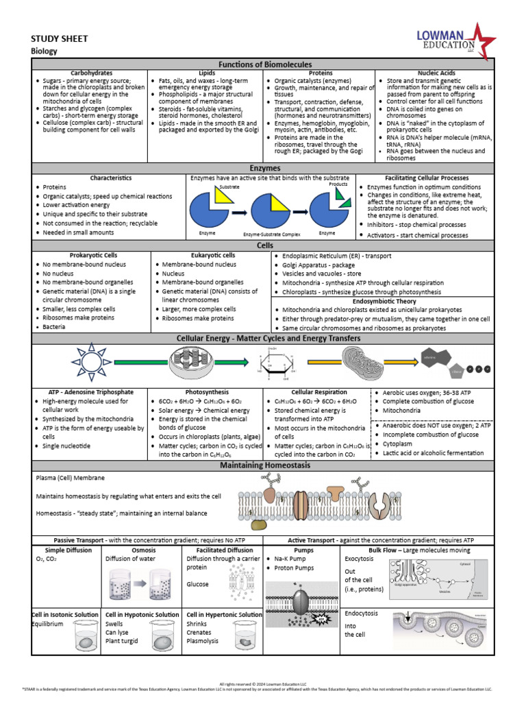 Biomolecules and Cellular Functions Guide | PDF | Cell (Biology ...