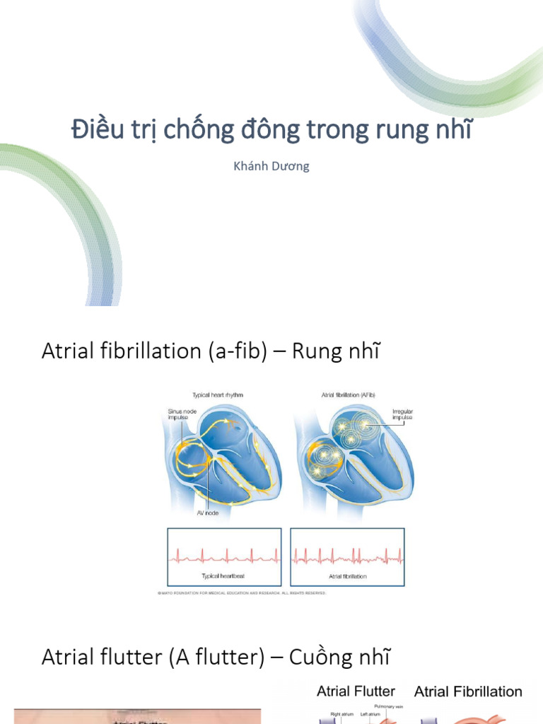 Điều trị chống đông trong rung nhĩ | PDF