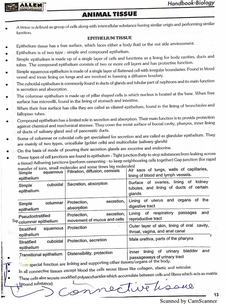 Structral PDF | PDF