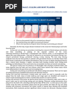 SRP Insurance Narrative Template | PDF