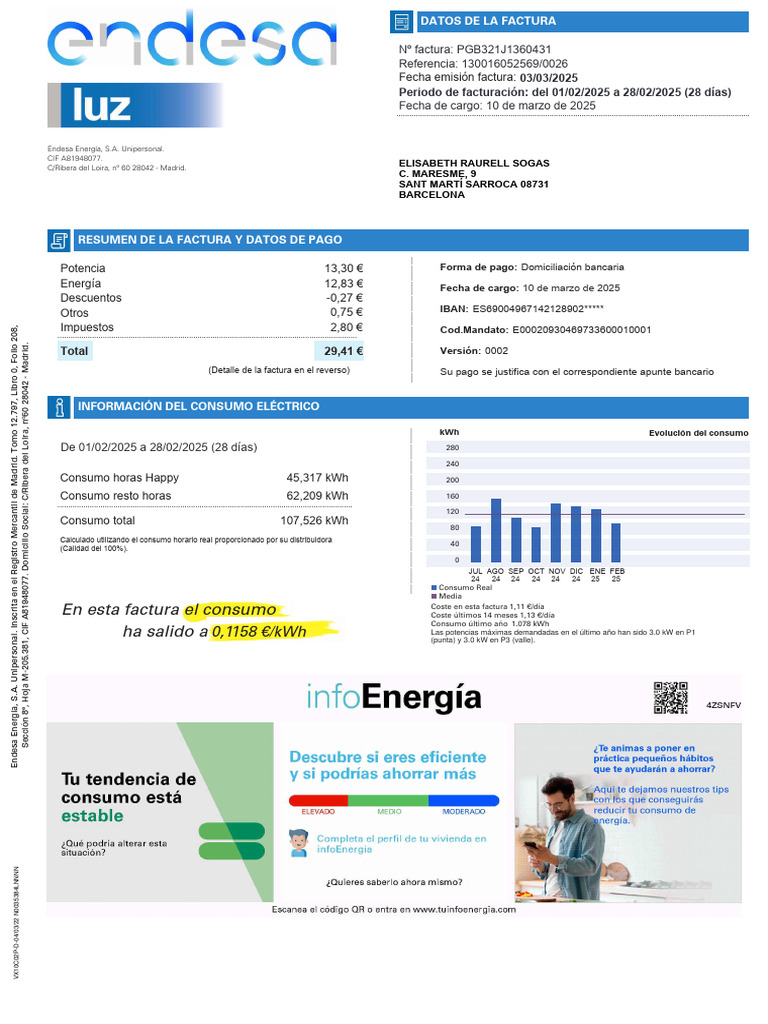 Factura de Endesa: Datos y Consumo | PDF | Energia electrica ...