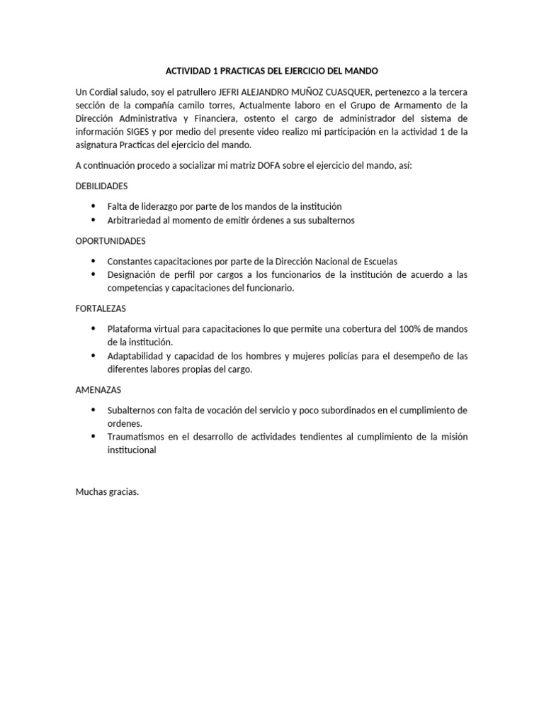 Matriz DOFA en Ejercicio del Mando | PDF | Liderazgo