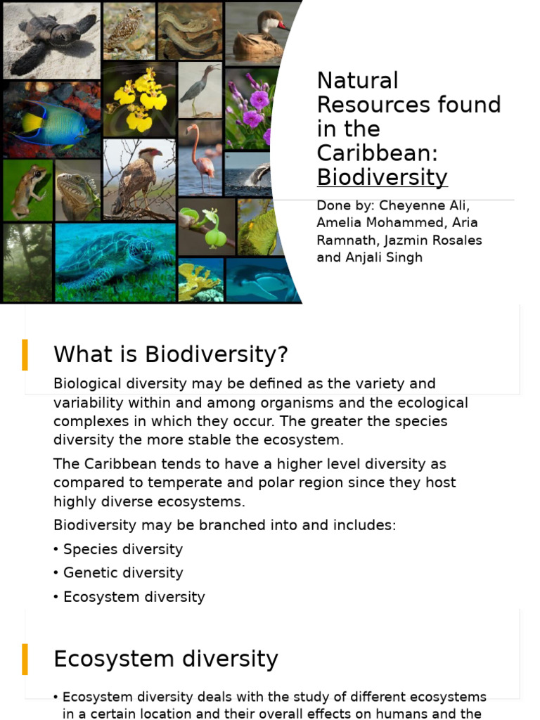 Caribbean Biodiversity And Ecosystems Pdf Biodiversity Agriculture