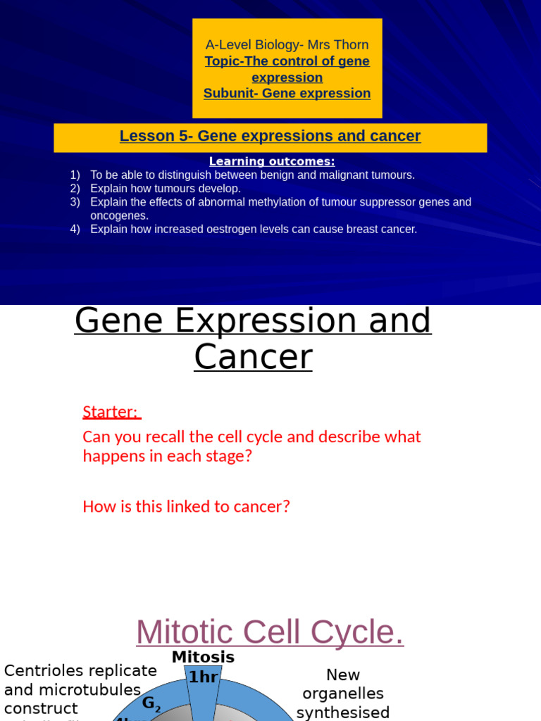 Gene Expression and Cancer Overview | PDF | Tumor Suppressor Gene | Mitosis