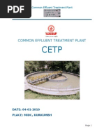 CPCB STP Guidelines Overview 2021 | PDF | Sewage Treatment | Sewerage