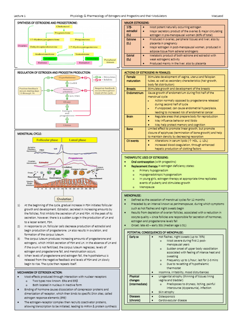 Estrogens and Progestins: Physiology & Pharmacology | PDF | Luteinizing ...