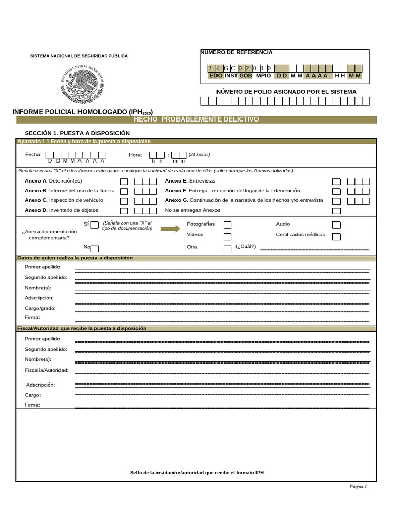 Formato IPH 2020 para Informe Policial | PDF | Queja | Gobierno