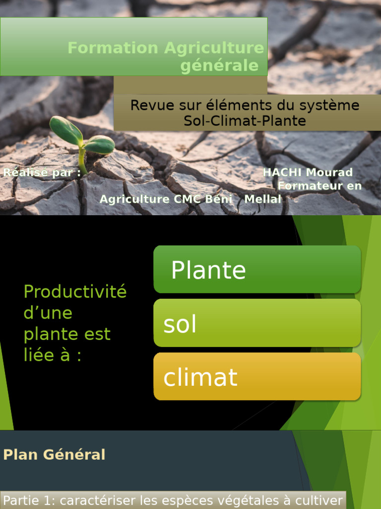 Effet Sol Et Climat Sur La Productivité | PDF | Sol (pédologie) | Fleurs