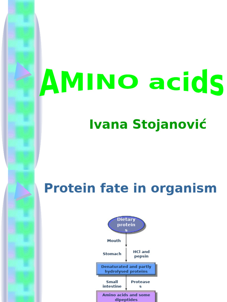 Amino Acid Metabolism - Part 1 2024 | PDF | Amino Acid | Biosynthesis