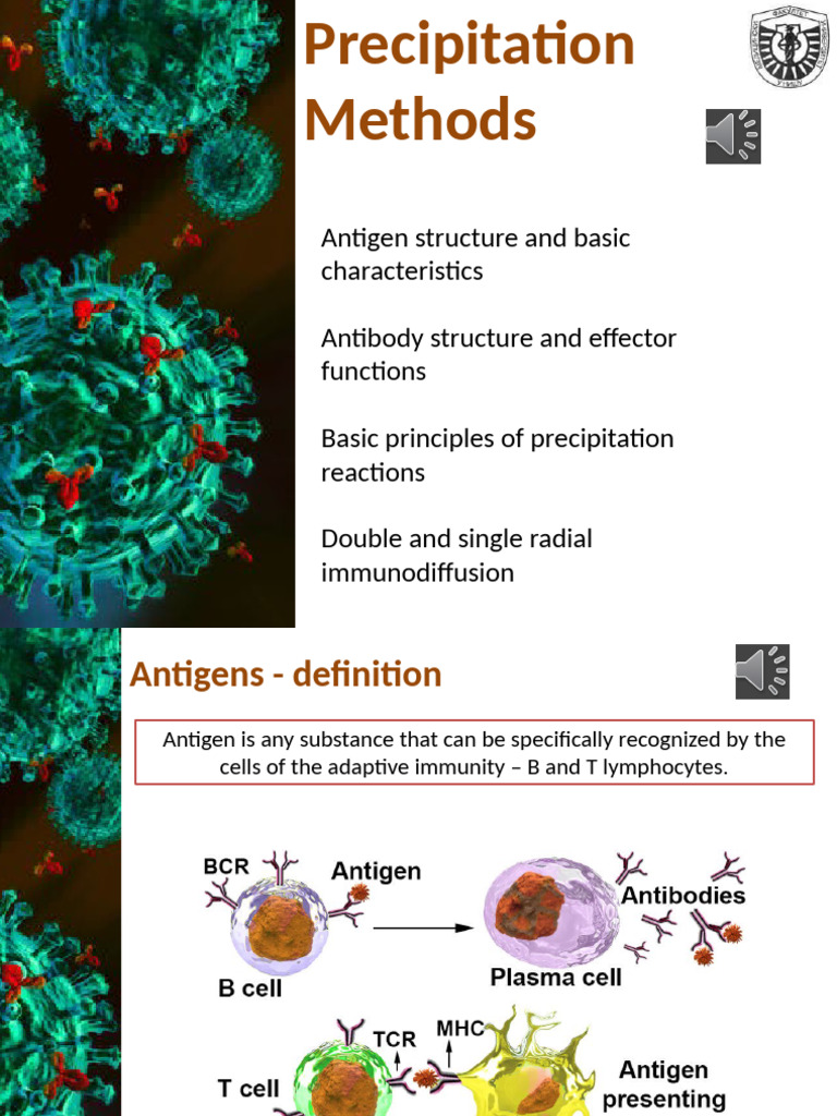 Antigen and Antibody Interaction Overview | PDF | Antibody | Antigen