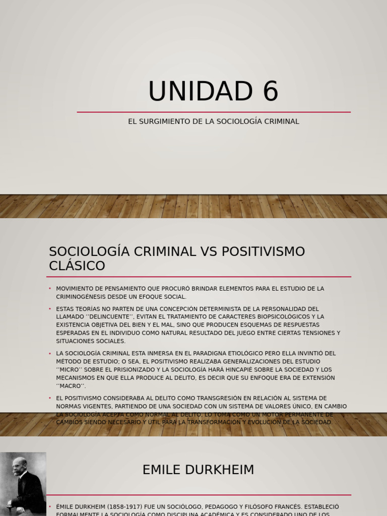Unidad 6 | PDF | Emile Durkheim | Sociología