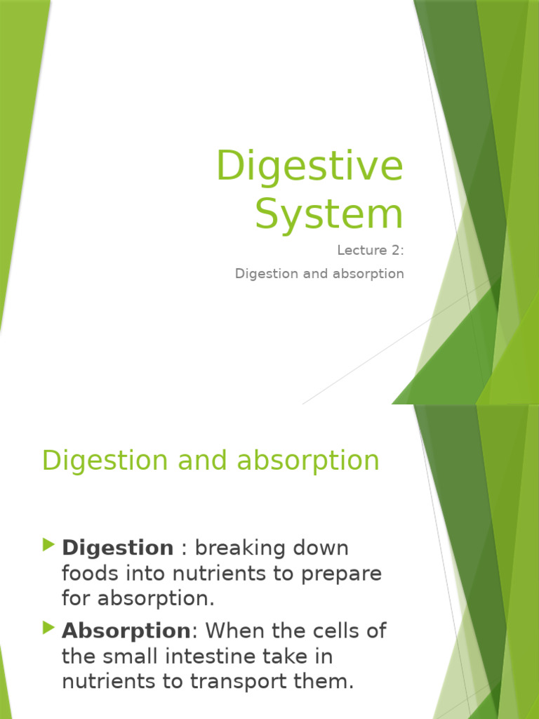 Digestive System Lecture 2 Digestion and Absorption | PDF | Digestion ...