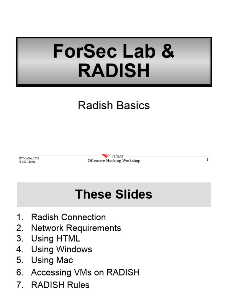 RADSIHNG Basic How To Connect | PDF | Virtual Machine | Software