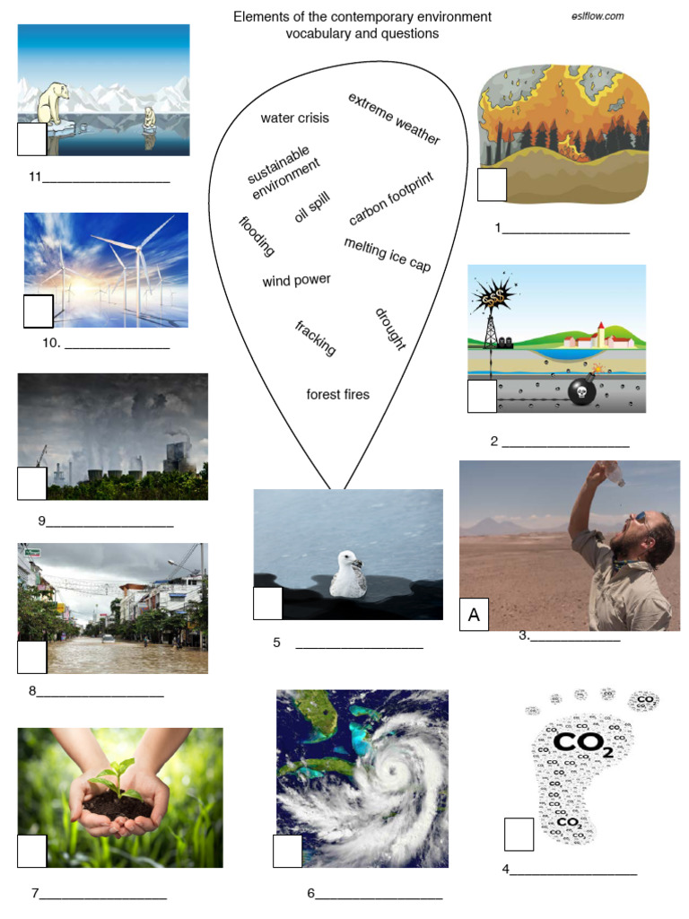 Contemporary Environmental Vocabulary | PDF